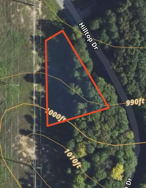lot199 Hilltop #LOT : 199, Bellaire, MI 49615