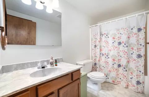 Bath - 525 Norton Gibbs, Ithaca, MI 48847 photo 1 of 2