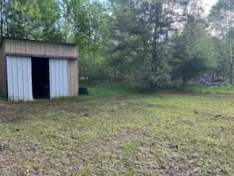 11803 E Millbrook, Shepherd, MI 48883 photo 5