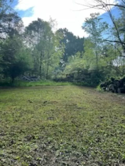 11803 E Millbrook, Shepherd, MI 48883 photo 6