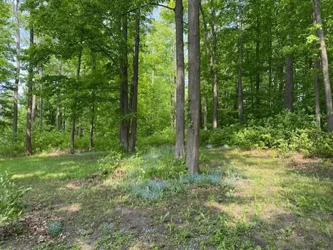 Exterior - 730 M-55, Boon, MI 49618 photo 12 of 15