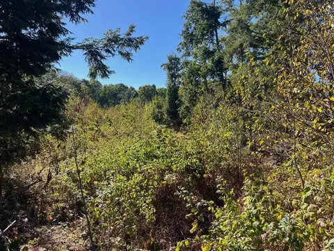 8757 Hemlock Hl, Traverse City, MI 49685