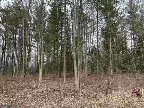 3064 Grove, Standish, MI 48658 photo 7