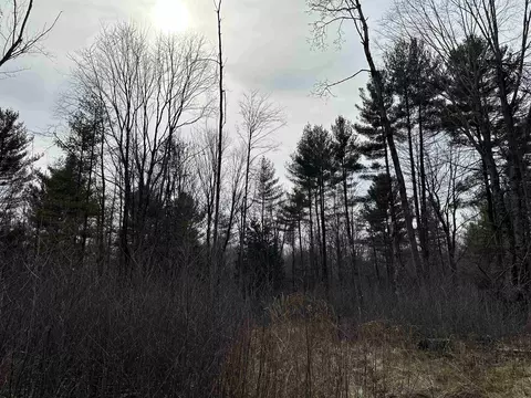 3064 Grove, Standish, MI 48658 photo 8