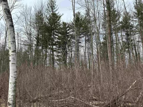 3064 Grove, Standish, MI 48658 photo 10