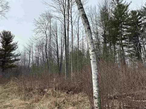 3064 Grove, Standish, MI 48658 photo 9