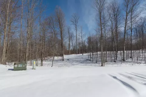 W Timber View, Empire, MI 49630