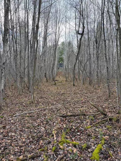 40 Acres Brown Brg, Traverse City, MI 49696