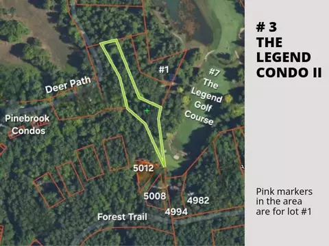 3 Deer, Bellaire, MI 49615