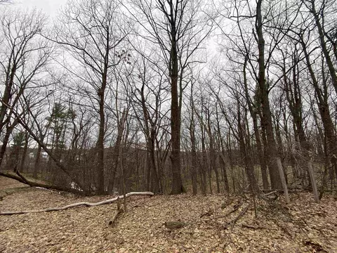 00 Incochee Crst, Traverse City, MI 49684