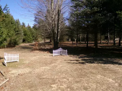 Exterior - 9685 E Deerfield, Shepherd, MI 48883 photo 9 of 22