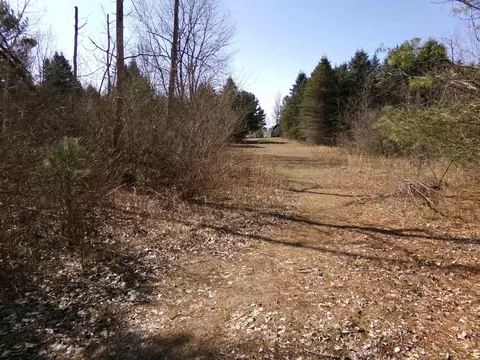 Exterior - 9685 E Deerfield, Shepherd, MI 48883 photo 21 of 22