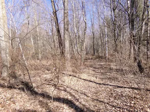 Other - 9685 E Deerfield, Shepherd, MI 48883 photo 25 of 28