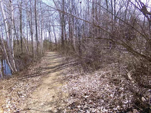 Other - 9685 E Deerfield, Shepherd, MI 48883 photo 24 of 28