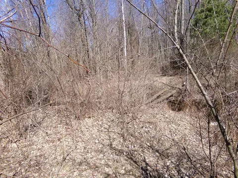 Exterior - 9685 E Deerfield, Shepherd, MI 48883 photo 20 of 22
