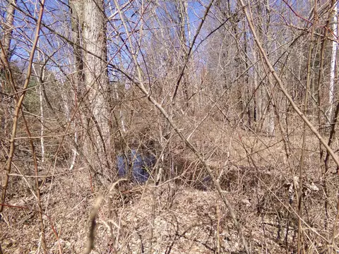 Other - 9685 E Deerfield, Shepherd, MI 48883 photo 27 of 28