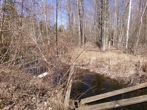 Other - 9685 E Deerfield, Shepherd, MI 48883 photo 26 of 28