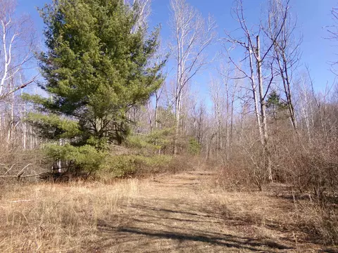 Exterior - 9685 E Deerfield, Shepherd, MI 48883 photo 18 of 22