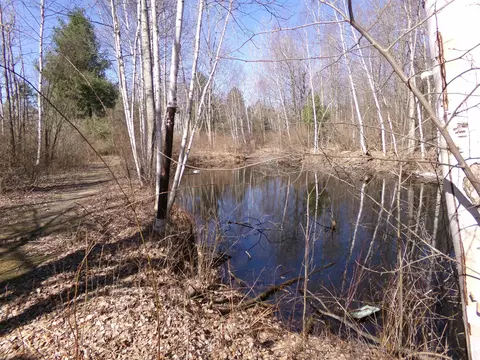 View/Area - 9685 E Deerfield, Shepherd, MI 48883 photo 1 of 1