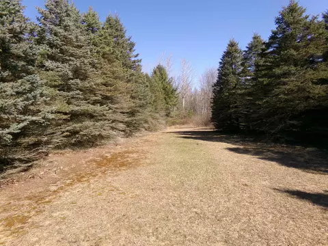 Exterior - 9685 E Deerfield, Shepherd, MI 48883 photo 17 of 22