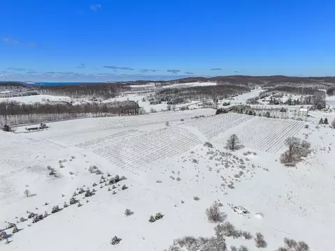 4499 S Schomberg, Cedar, MI 49621 photo 19