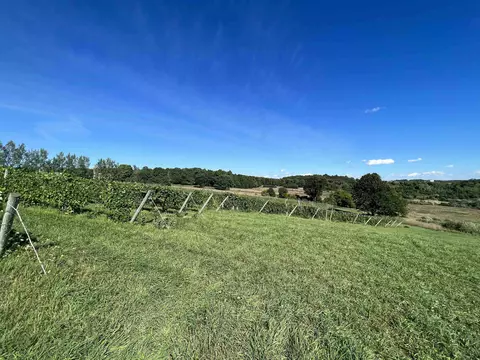 4499 S Schomberg, Cedar, MI 49621 photo 2