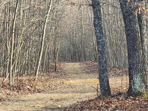 Kirche In The Woods, Spruce, MI 48762