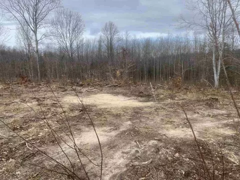 Carmean, Honor, MI 49640 photo 12
