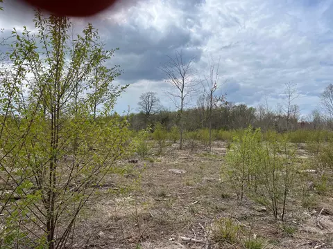 Carmean, Honor, MI 49640 photo 9