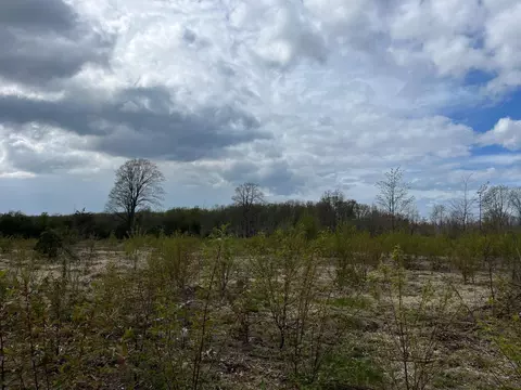 Carmean, Honor, MI 49640 photo 10