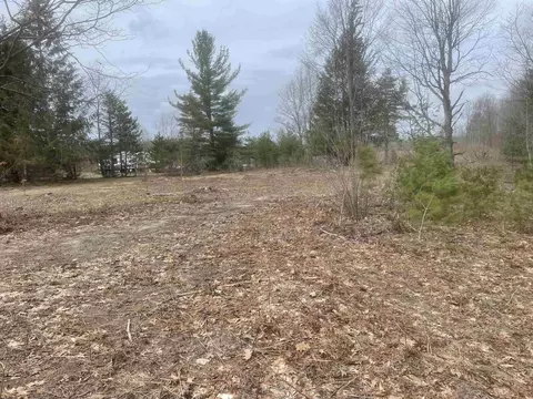 Carmean, Honor, MI 49640 photo 13