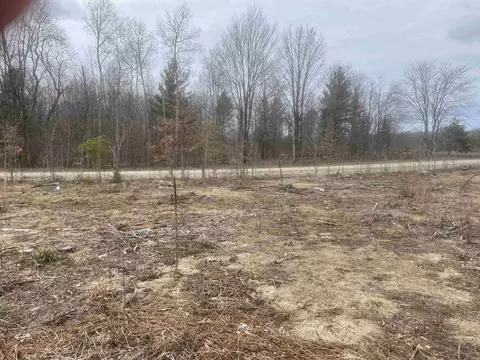 Carmean, Honor, MI 49640 photo 13