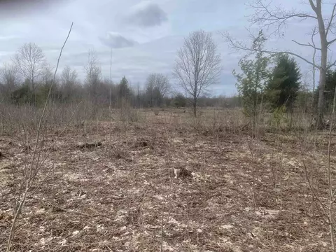 Carmean, Honor, MI 49640 photo 11