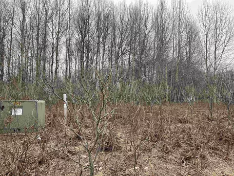 lot20 Crestview, Cadillac, MI 49601