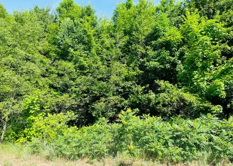 0 Hilltop, Mcbain, MI 49657 photo 2