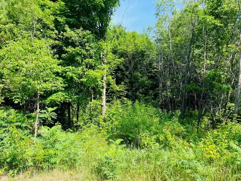 0 Hilltop, Mcbain, MI 49657 photo 5