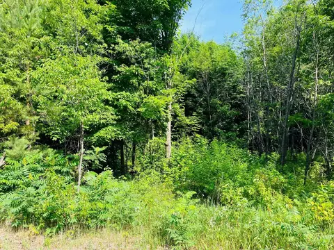 0 Hilltop, Mcbain, MI 49657