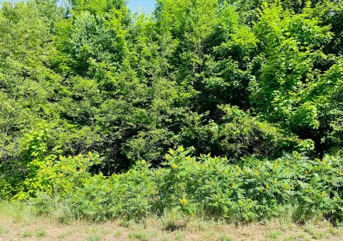 0 Hilltop, Mcbain, MI 49657 photo 6