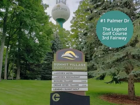 1 Palmer, Bellaire, MI 49615
