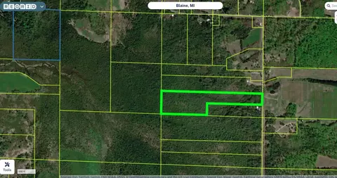 0 Swamp, Frankfort, MI 49635