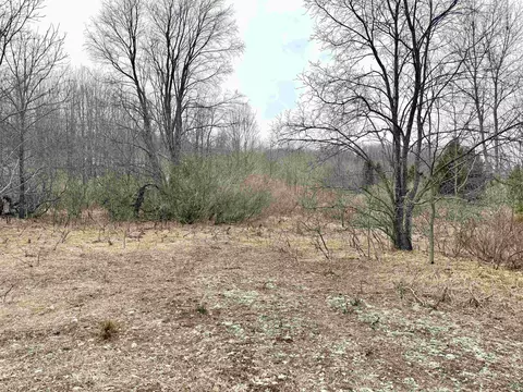 0 E Darga, Cedar, MI 49621 photo 13