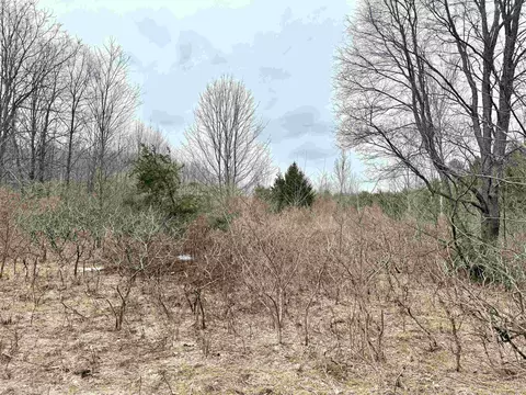 0 E Darga, Cedar, MI 49621 photo 21