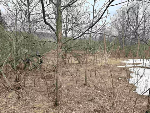 0 E Darga, Cedar, MI 49621 photo 18