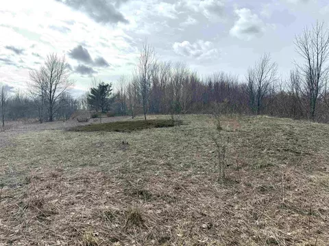0 E Darga, Cedar, MI 49621 photo 4