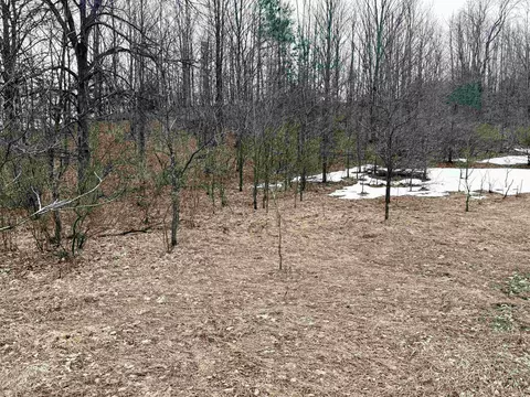 0 E Darga, Cedar, MI 49621 photo 15