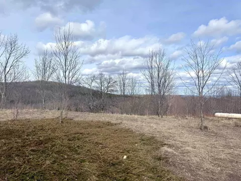 0 E Darga, Cedar, MI 49621 photo 8