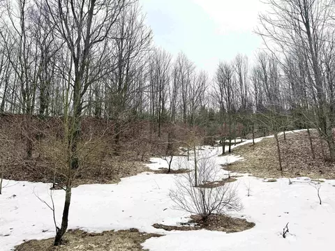 0 E Darga, Cedar, MI 49621 photo 12