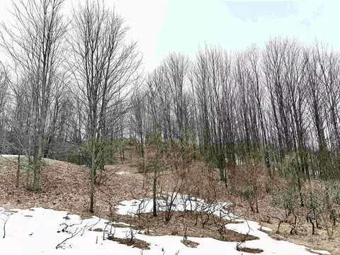0 E Darga, Cedar, MI 49621 photo 17