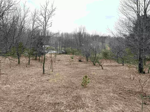 0 E Darga, Cedar, MI 49621 photo 23