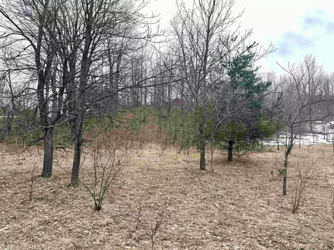 0 E Darga, Cedar, MI 49621 photo 22